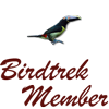 BensBirds - logo