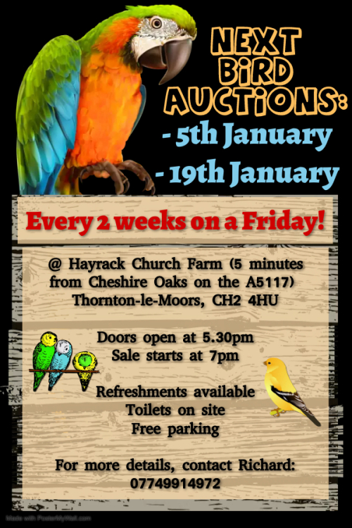 BIRD AUCTIONS AT HAYRACK FARM Sales North UK Birds in the North