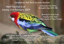 Coronation Hall Bird Society Auction 