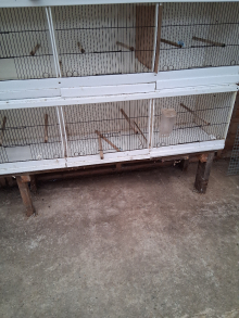 Plastic cages for sale