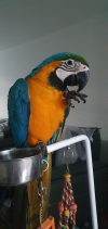 20260104_155738