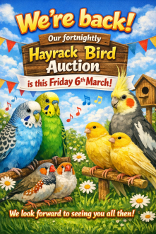 HAYRACK BIRD AUCTION FRIDAY 6TH MARCH!