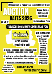 Treviscoe Auction