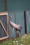 IMG-20260504-WA0123