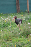 IMG-20260504-WA0125