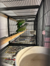 IMG-20260309-WA0009