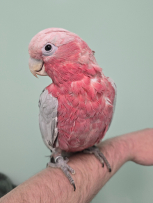 Various going to Newark!!!