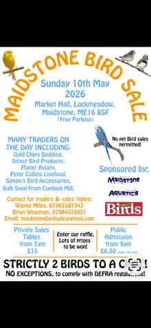Maidstone bird sale day 