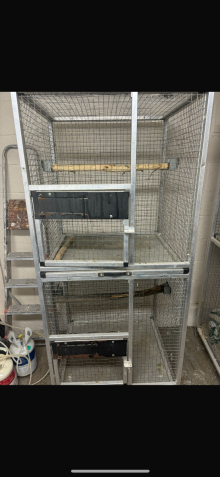 Parrot beeeding cages 