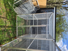 Aviaries 