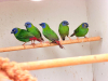 IMG-20260110-WA0013