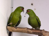 IMG-20260327-WA0028