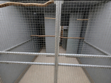 Large aviary 