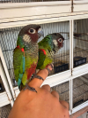 IMG-20260419-WA0002
