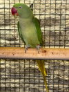 IMG_3653