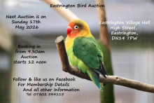 EASTRINGTON BIRD AUCTION - 17th MAY