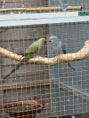 IMG_6807