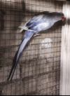 Screenshot_20260513-185824