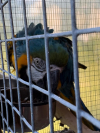 IMG_5382