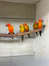 IMG_7628