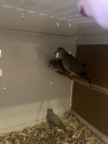 IMG_0263