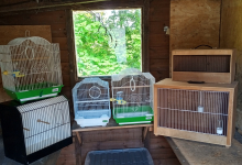 TRANSPORT BOXES & CAGES 
