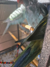 20260526_153125