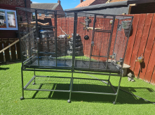 Bird cages for sale