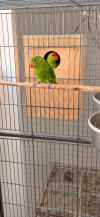 IMG_0558
