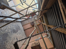 birds wanted