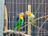 80600_20240101_141258_thb (1)
