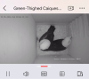 91141_screenshot_2026-05-31-18-08-53-85_a95cd7181daf1a10de28befe4fb2ffb3_thb
