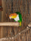 IMG20251217122913