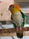 IMG20260123114558
