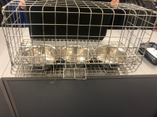 Parrot feeding basket