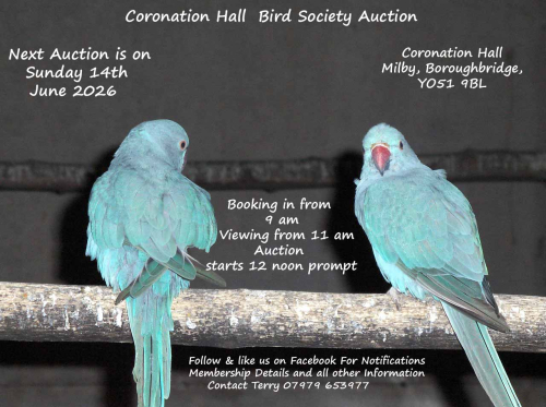 **CORONATION HALL BIRD SOCIETY AUCTION**