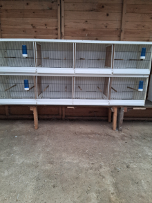 Plastic breading cages for sale