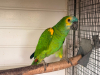 IMG-20260612-WA0008