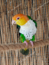 IMG_20260611_233711