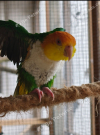 IMG_20260611_233727