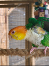 IMG_20260611_233742