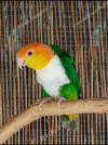 IMG_20260611_233801
