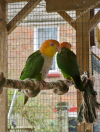 IMG_20260611_233835