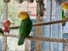 IMG_20260611_233853
