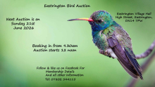 EASTRINGTON BIRD AUCTION - 21st June