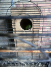 PHOTO-2026-06-14-20-05-06 3