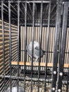 PHOTO-2026-06-14-19-41-15