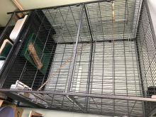 Cage for sale