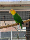 IMG20250205153910