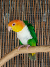 IMG20251217122931